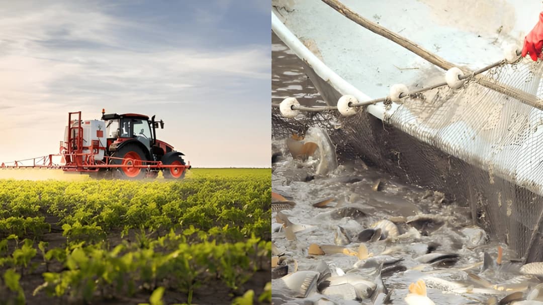 Sustainable Farming