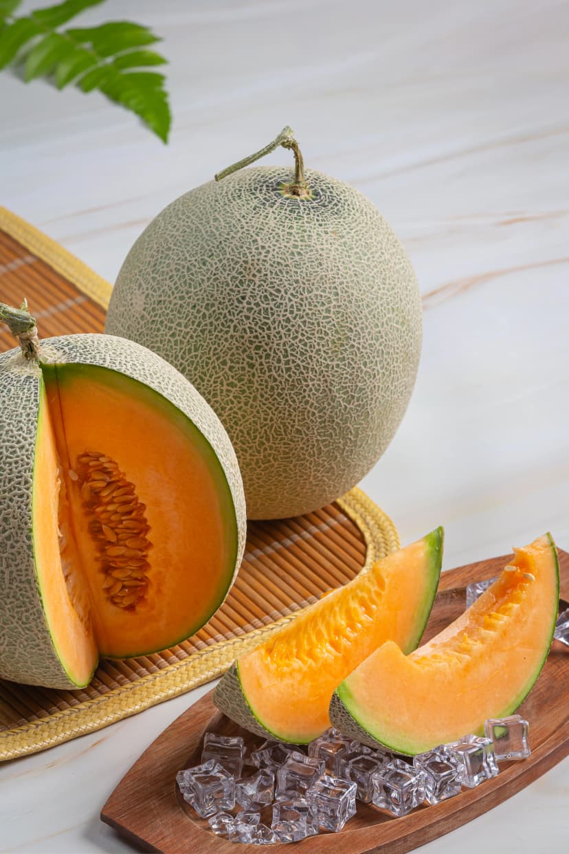 Fresh Melon