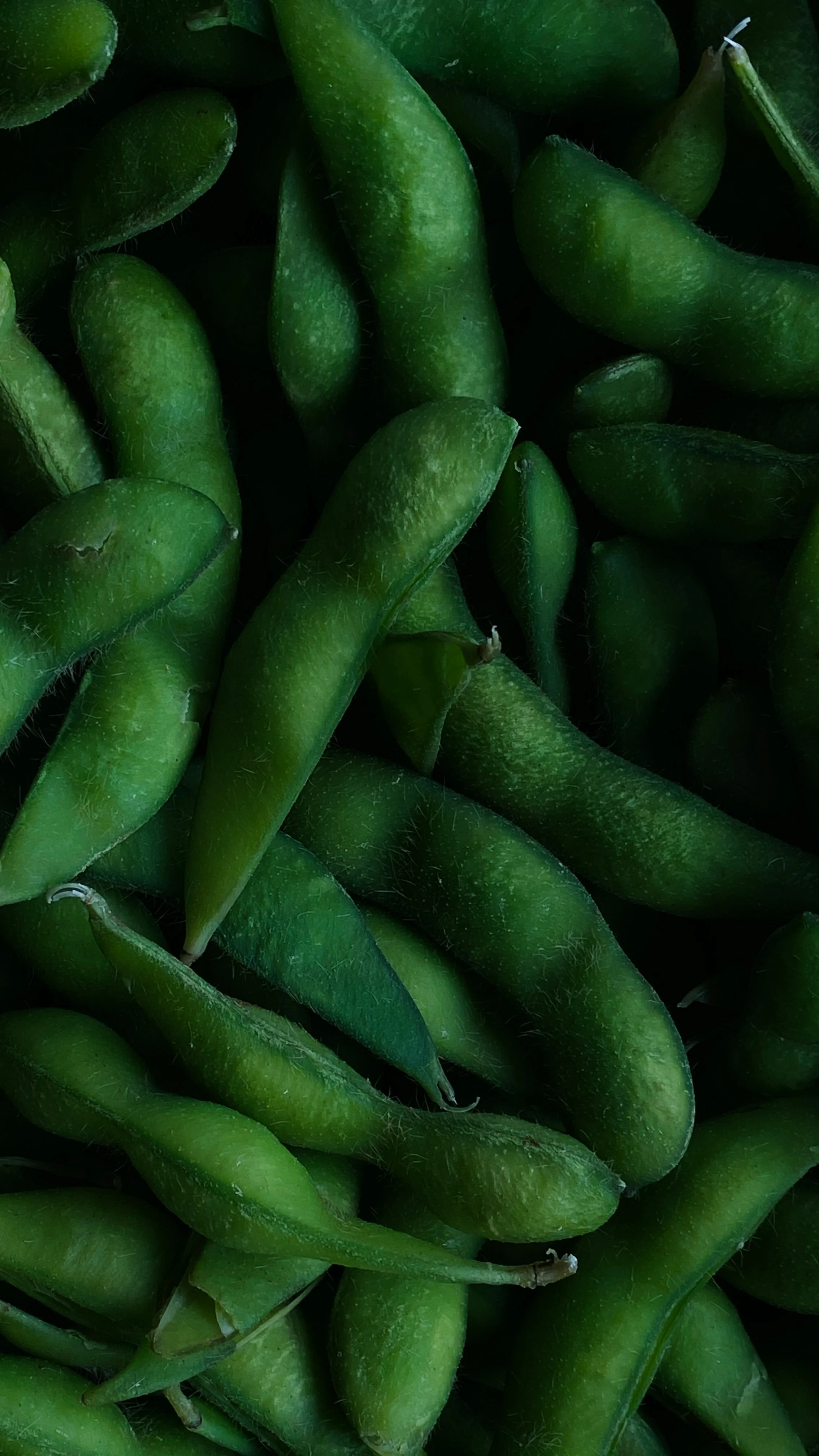 Edamame