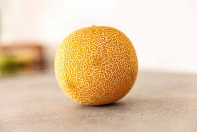 Fresh Melon
