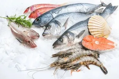 Marine Products (Fish, Squid, etc.)