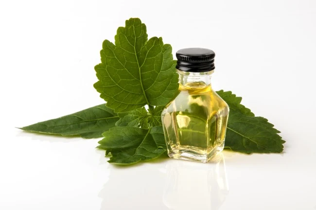 Patchouli Essential Oil